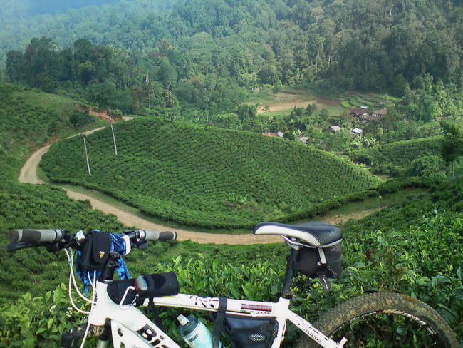 Taman-Nasional-Gunung-Halimun-Salak-3.jpeg